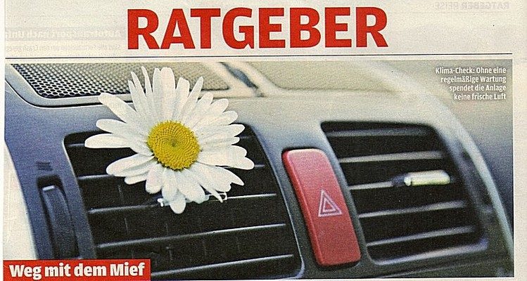Ratgeber